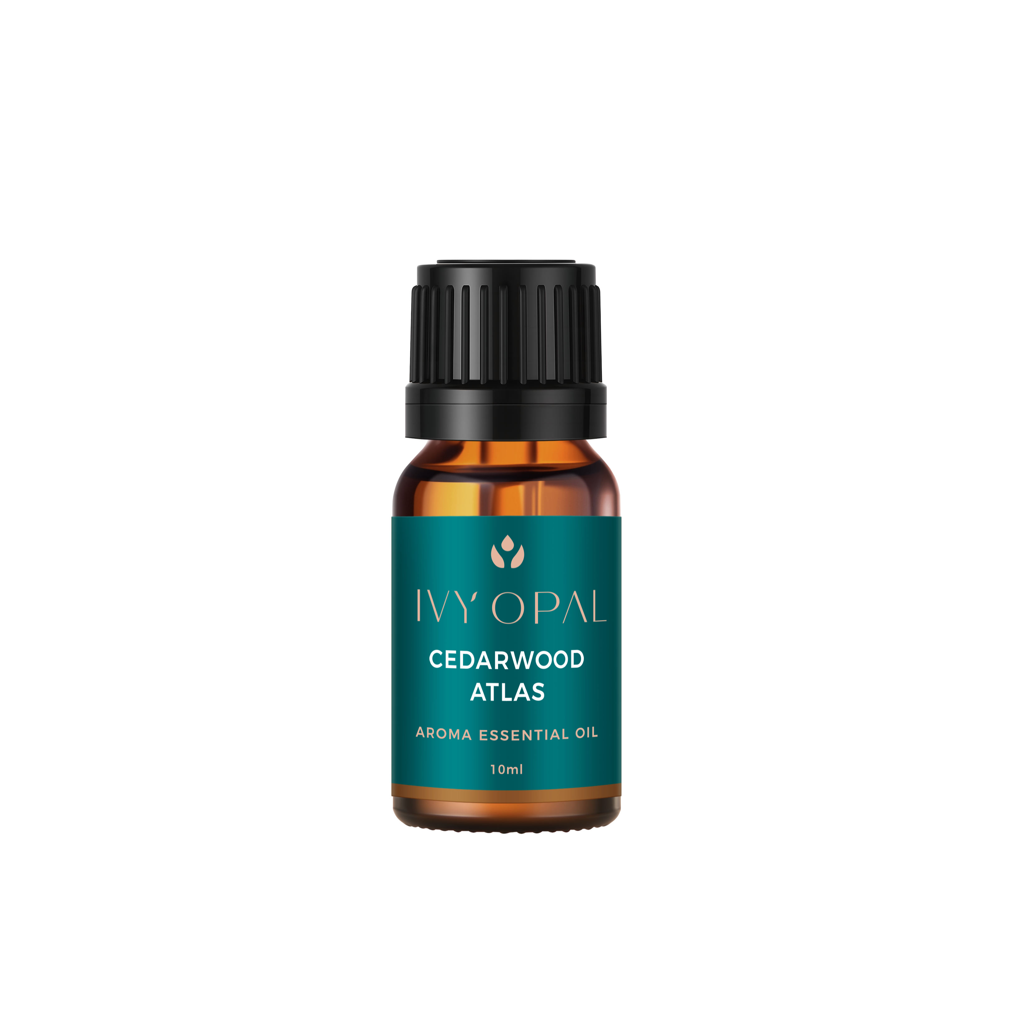 Cedarwood Essential Oil